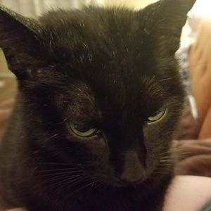 Meet your Posher, Kaitlin